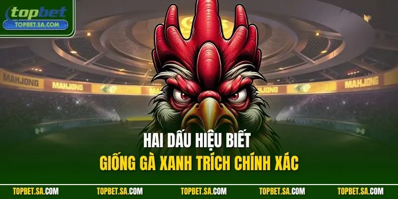 Hai dấu hiệu biết giống gà xanh trích chính xác