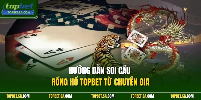 Hướng dẫn soi cầu Rồng Hổ Topbet từ chuyên gia