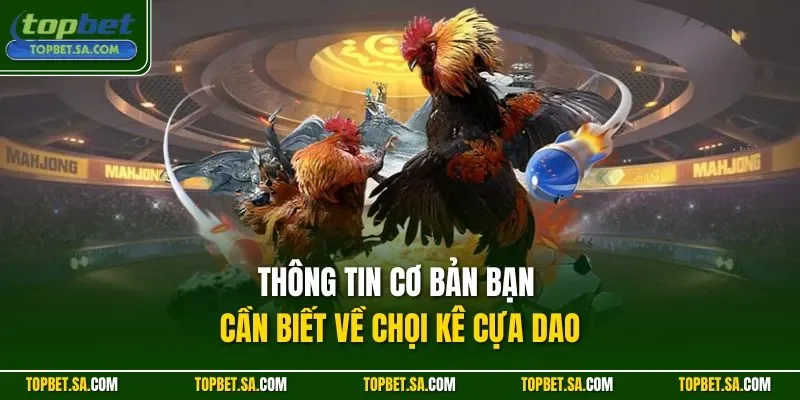 Thông tin cơ bản bạn cần biết về chọi kê cựa dao